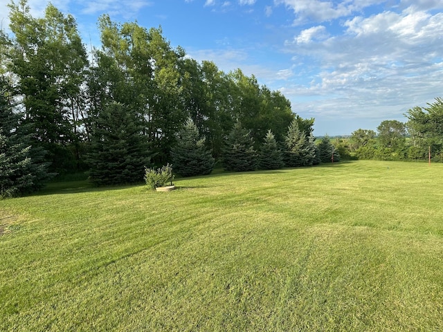 1865 180th St, Norman Twp, MN 56220 - view of green lawn