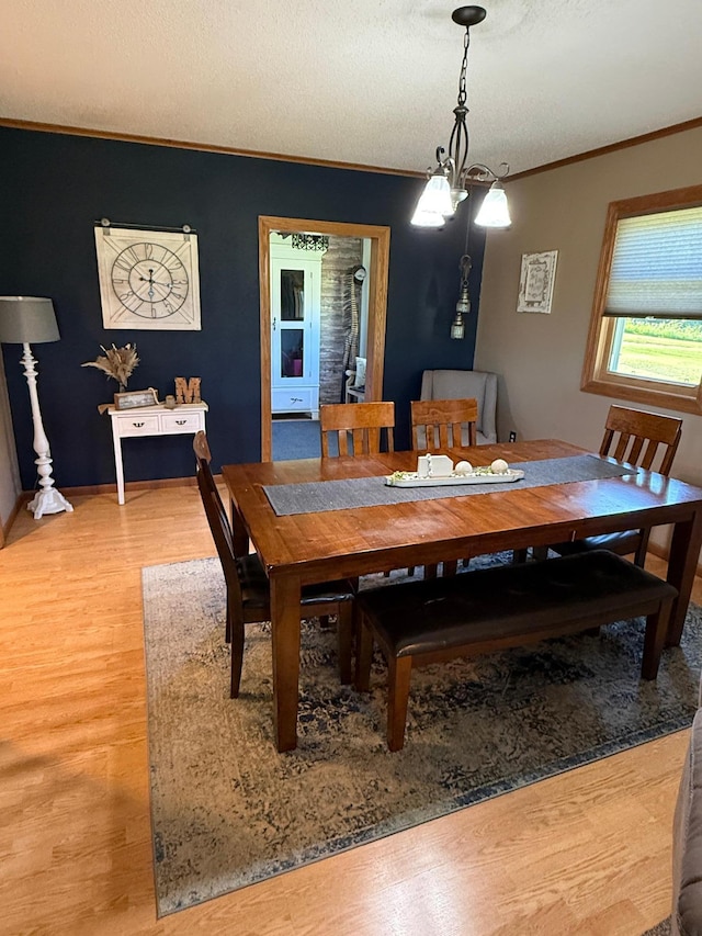 1865 180th St, Norman Twp, MN 56220 - dining room with light wood-style flooring, crown molding, and a textured ceiling