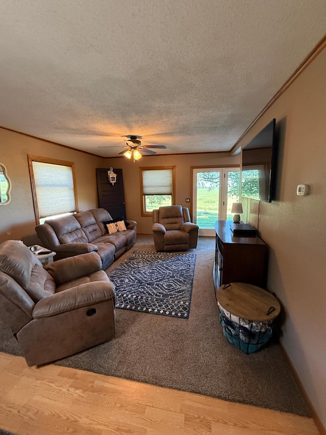 1865 180th St, Norman Twp, MN 56220 - living room with a textured ceiling, ceiling fan, and wood finished floors