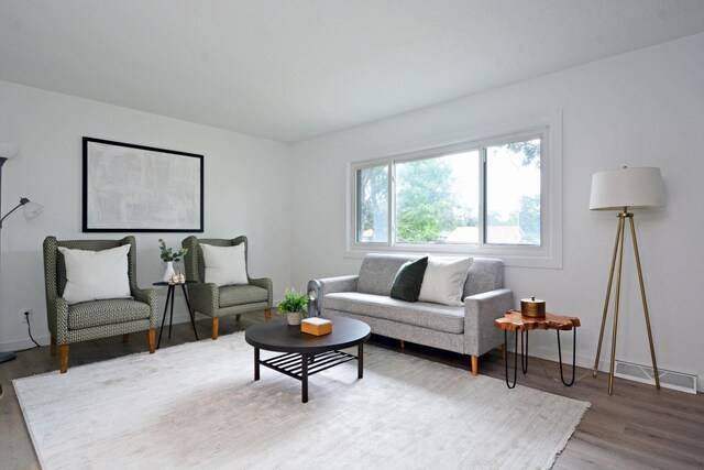 10419 Goldenrod St NW, Coon Rapids, MN 55448 - living area with wood finished floors and baseboards