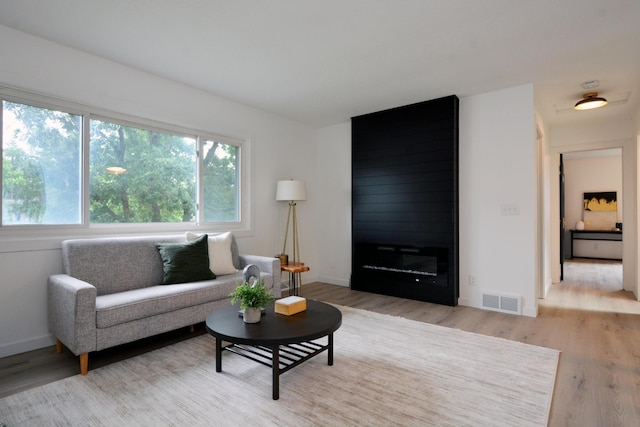 10419 Goldenrod St NW, Coon Rapids, MN 55448 - living area with wood finished floors and a large fireplace
