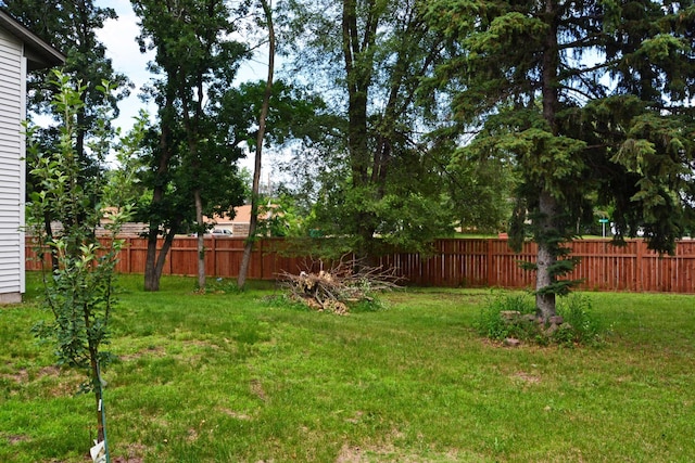 10419 Goldenrod St NW, Coon Rapids, MN 55448 - view of yard