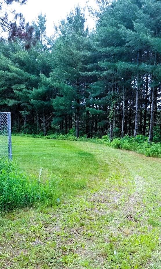 N5172 County Road O, Atlanta Twp, WI 54819 - view of yard featuring a wooded view