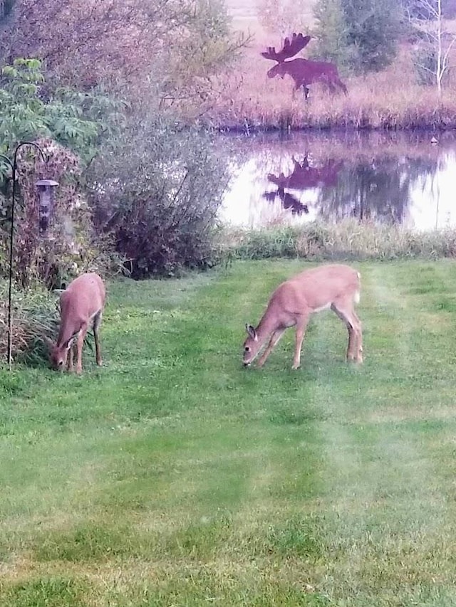 N5172 County Road O, Atlanta Twp, WI 54819 - surrounding community featuring a water view