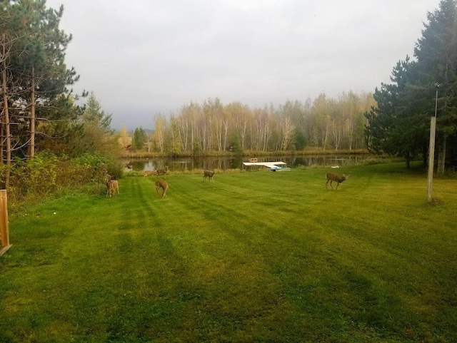 N5172 County Road O, Atlanta Twp, WI 54819 - view of green lawn with a water view