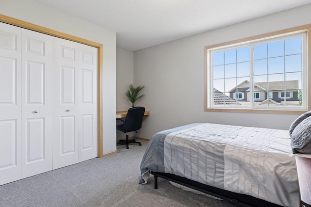 1246 Night Trl, Waconia, MN 55387 - photo 48