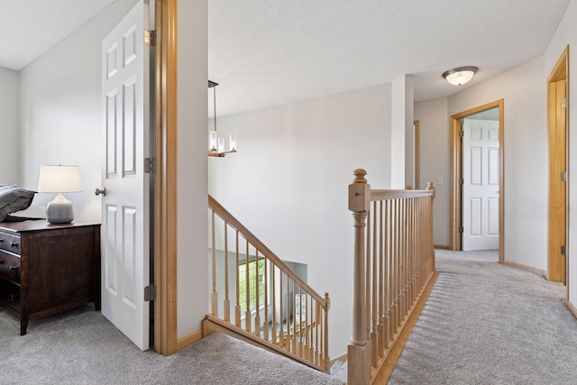 1246 Night Trl, Waconia, MN 55387 - photo 39