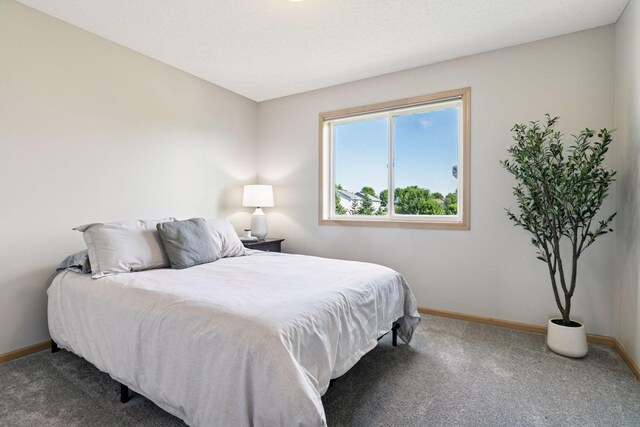 1246 Night Trl, Waconia, MN 55387 - photo 46