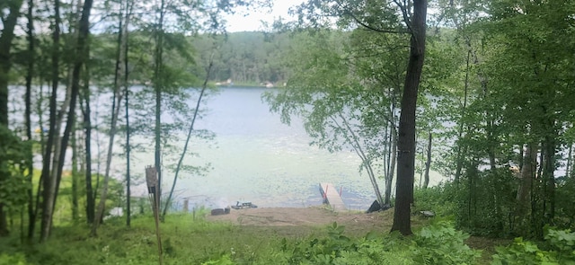 2846 White Pine Ln, Motley, MN 56466 - photo 1