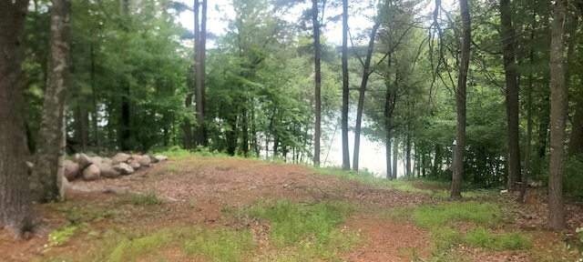 2846 White Pine Ln, Motley, MN 56466 - photo 3