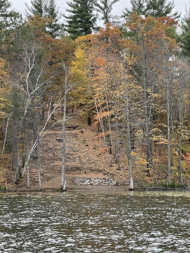 2846 White Pine Ln, Motley, MN 56466 - photo 9