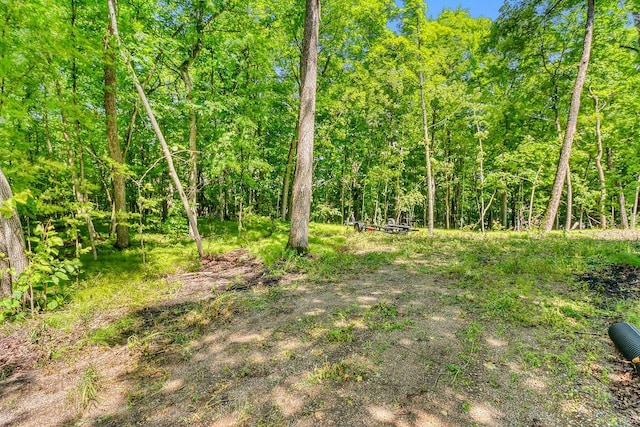 49330 Fish Lake Rd, Pelican Rapids, MN 56572 - photo 10