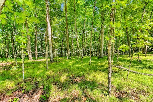 49330 Fish Lake Rd, Pelican Rapids, MN 56572 - photo 13
