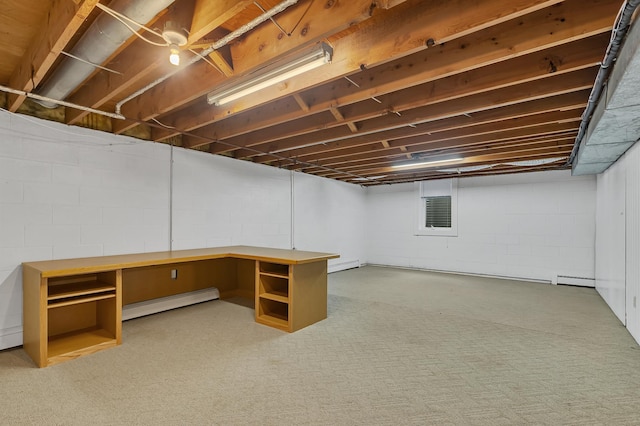 213 2nd St N, Cold Spring, MN 56320 - unfinished below grade area with baseboard heating and carpet