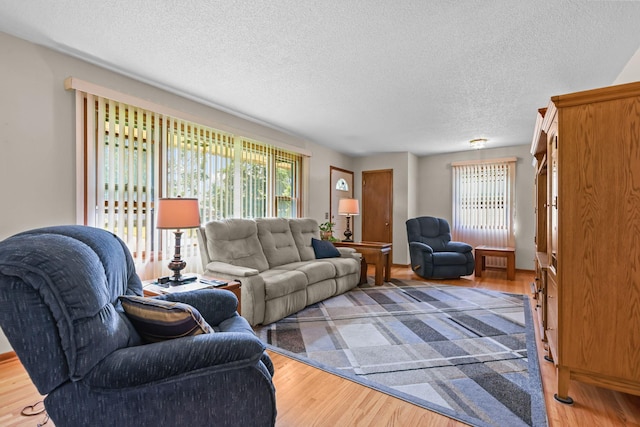 5913 Zenith Ave N, Brooklyn Center, MN 55429 - living room featuring a textured ceiling and wood finished floors
