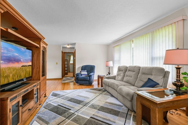5913 Zenith Ave N, Brooklyn Center, MN 55429 - living room with light wood-type flooring and a textured ceiling