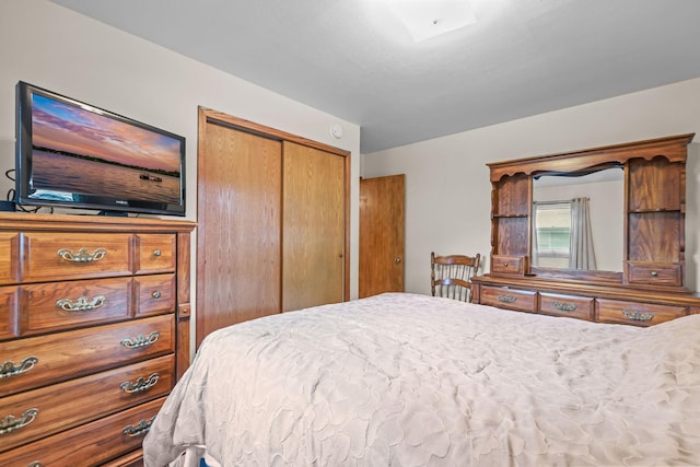 5913 Zenith Ave N, Brooklyn Center, MN 55429 - bedroom with a closet