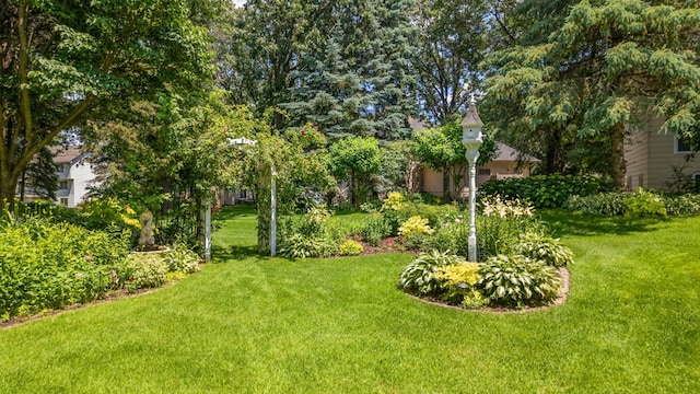 12161 Kerry St NW, Coon Rapids, MN 55433 - photo 39
