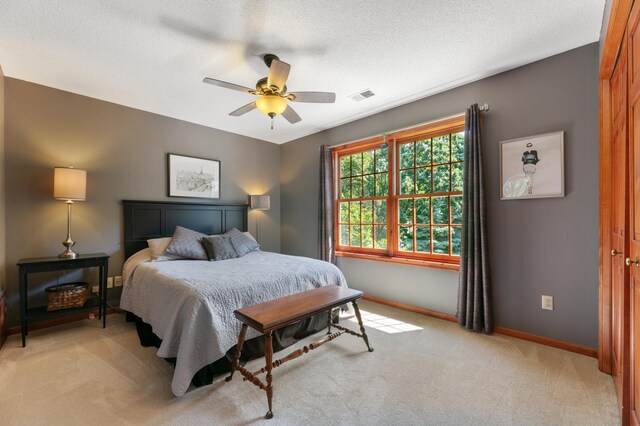 12161 Kerry St NW, Coon Rapids, MN 55433 - photo 24