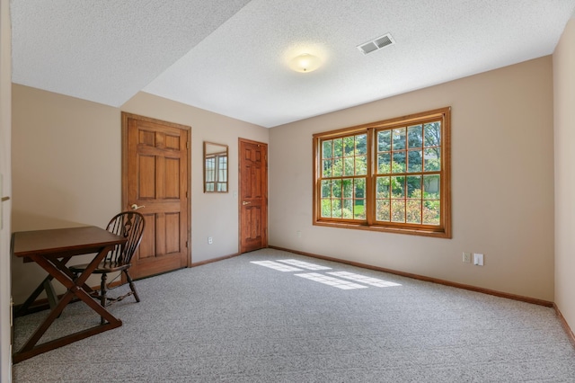 12161 Kerry St NW, Coon Rapids, MN 55433 - photo 27