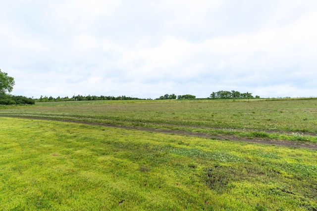 41565 Thunder Rd, Clitherall, MN 56524 - view of yard featuring a rural view