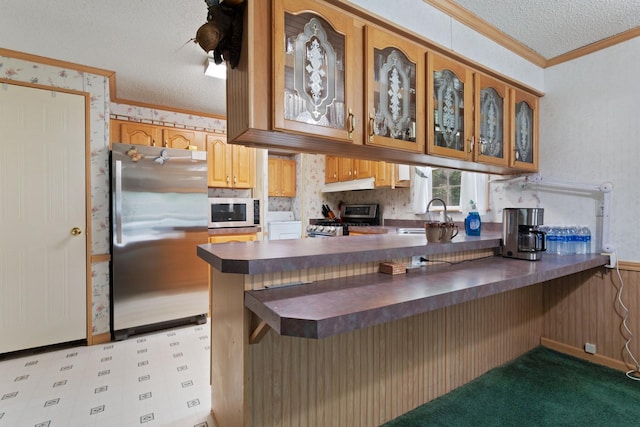 608 Round Lake Ave, Georgetown Twp, WI 54853 - kitchen with appliances with stainless steel finishes, dark countertops, a textured ceiling, ornamental molding, and a peninsula