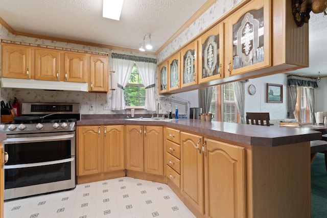 608 Round Lake Ave, Georgetown Twp, WI 54853 - kitchen with range with two ovens, under cabinet range hood, a peninsula, a textured ceiling, and dark countertops
