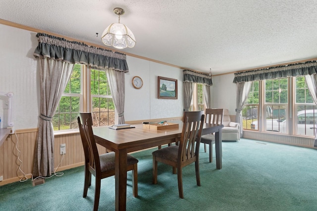 608 Round Lake Ave, Georgetown Twp, WI 54853 - dining space featuring carpet floors, a textured ceiling, wainscoting, healthy amount of natural light, and ornamental molding