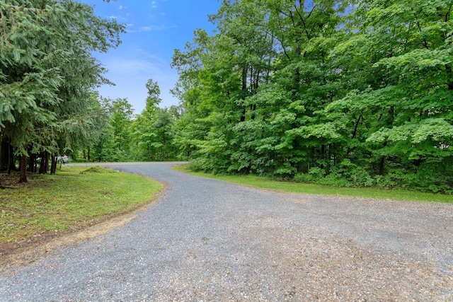 608 Round Lake Ave, Georgetown Twp, WI 54853 - view of dirt / gravel road with a wooded view