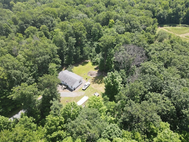 608 Round Lake Ave, Georgetown Twp, WI 54853 - view from above of property featuring a heavily wooded area
