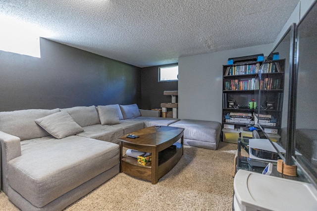 1007 Ruby St NW, Alexandria, MN 56308 - living area featuring a textured ceiling and light carpet