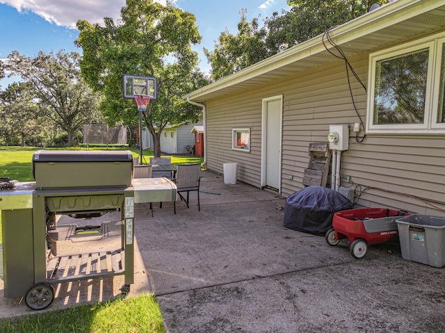 1007 Ruby St NW, Alexandria, MN 56308 - view of patio