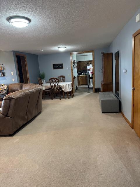74194 415th St, South Branch Twp, MN 56081 - living room featuring light colored carpet and a textured ceiling