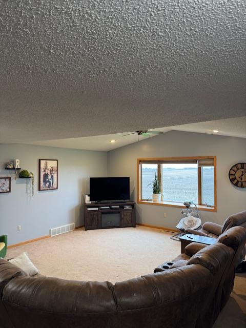 74194 415th St, South Branch Twp, MN 56081 - carpeted living area featuring a textured ceiling and vaulted ceiling
