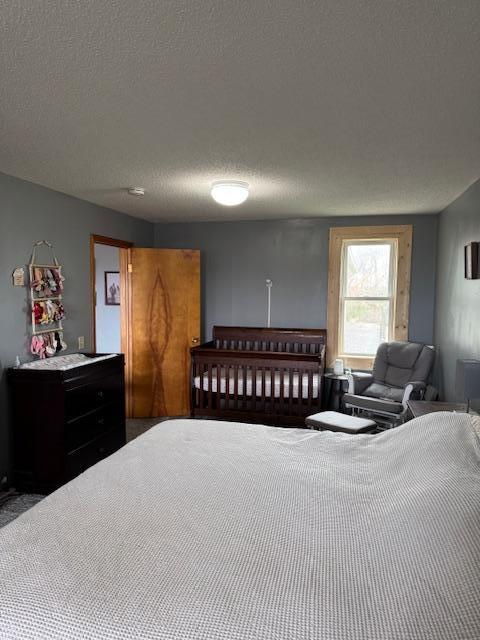 74194 415th St, South Branch Twp, MN 56081 - bedroom with a textured ceiling