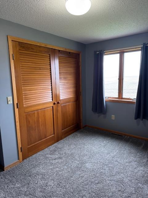 74194 415th St, South Branch Twp, MN 56081 - unfurnished bedroom with a closet, carpet, and a textured ceiling