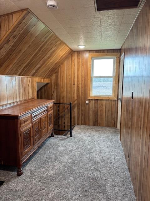 74194 415th St, South Branch Twp, MN 56081 - additional living space with wooden walls, carpet, and lofted ceiling