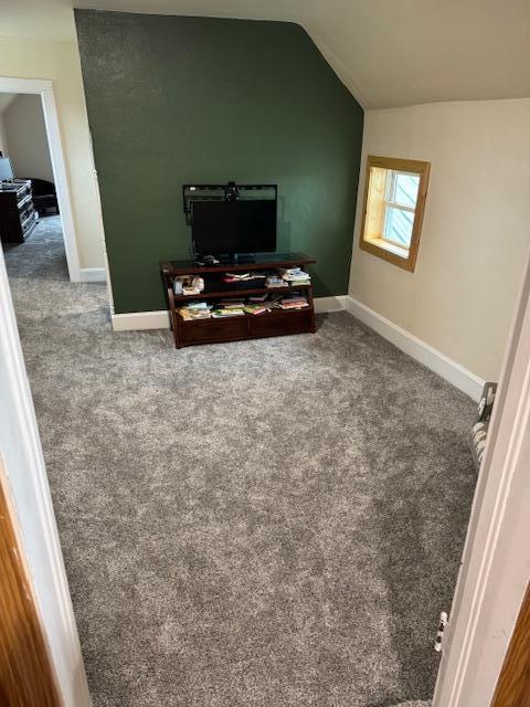 74194 415th St, South Branch Twp, MN 56081 - living room with lofted ceiling and carpet