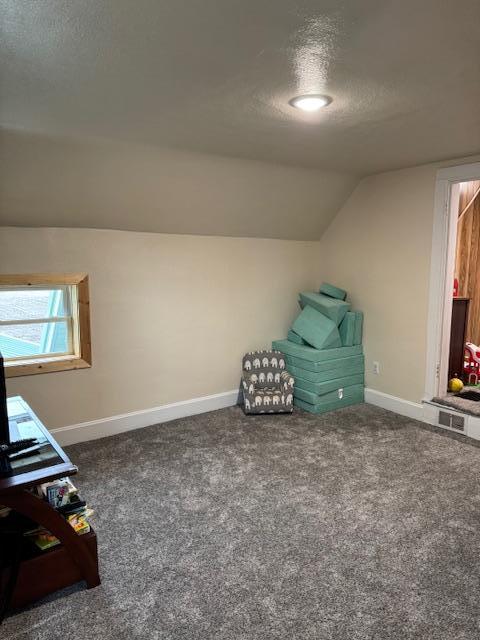 74194 415th St, South Branch Twp, MN 56081 - additional living space featuring a textured ceiling, carpet flooring, and lofted ceiling