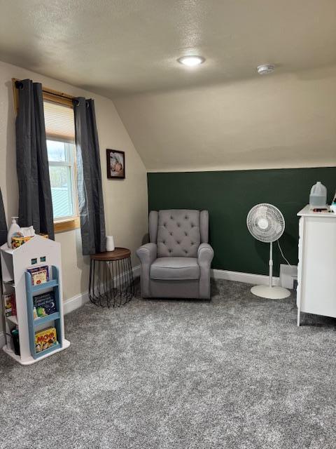 74194 415th St, South Branch Twp, MN 56081 - living area featuring carpet, vaulted ceiling, and a textured ceiling