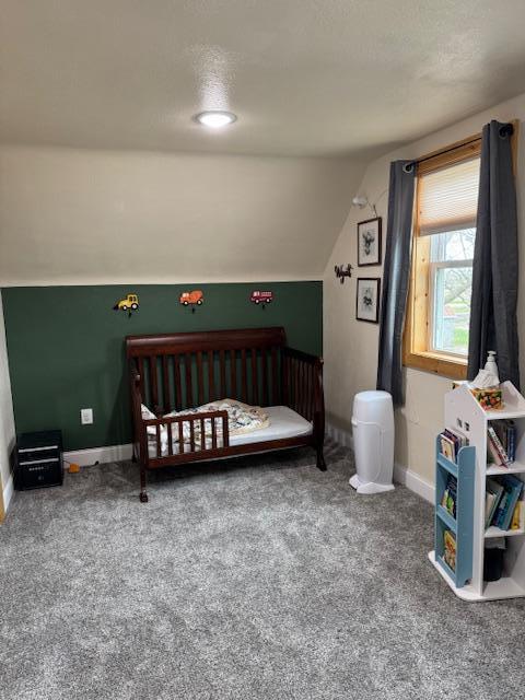 74194 415th St, South Branch Twp, MN 56081 - carpeted bedroom with vaulted ceiling and baseboards