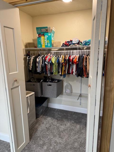74194 415th St, South Branch Twp, MN 56081 - walk in closet with carpet floors