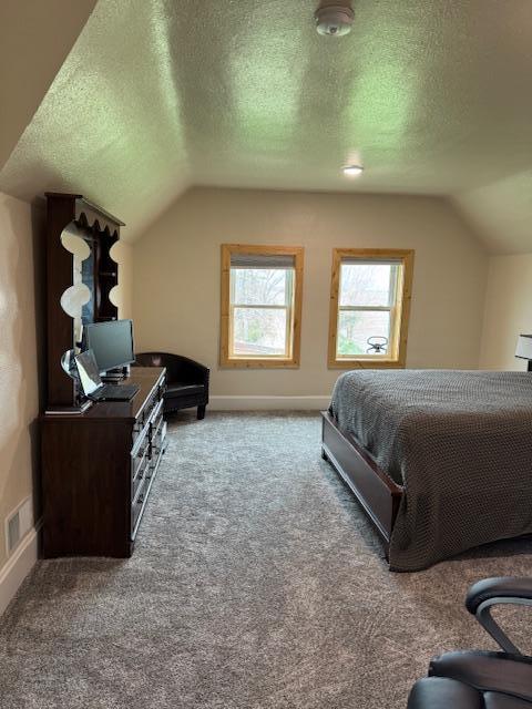 74194 415th St, South Branch Twp, MN 56081 - bedroom with lofted ceiling, carpet, and a textured ceiling