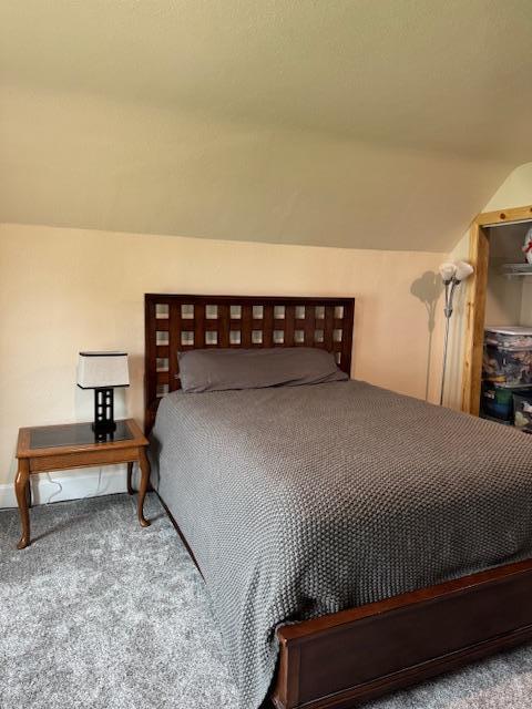 74194 415th St, South Branch Twp, MN 56081 - carpeted bedroom featuring vaulted ceiling