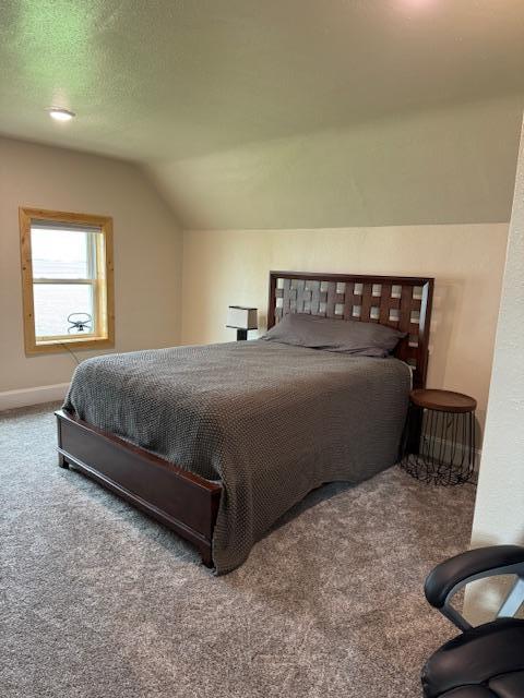 74194 415th St, South Branch Twp, MN 56081 - bedroom featuring lofted ceiling and carpet floors