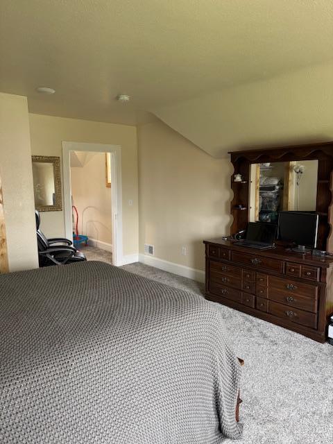 74194 415th St, South Branch Twp, MN 56081 - bedroom with carpet floors and vaulted ceiling