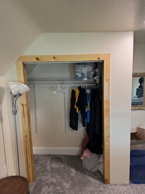 74194 415th St, South Branch Twp, MN 56081 - view of closet