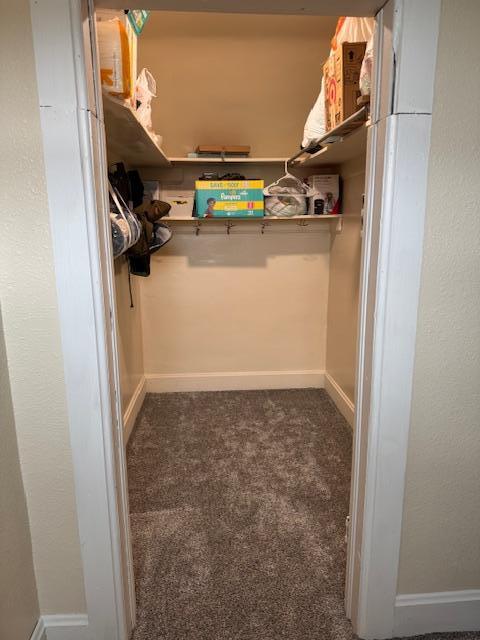 74194 415th St, South Branch Twp, MN 56081 - walk in closet with carpet floors