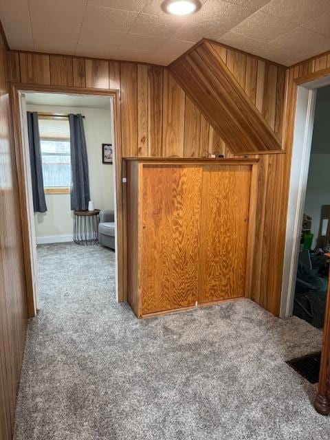 74194 415th St, South Branch Twp, MN 56081 - additional living space featuring carpet floors and wooden walls