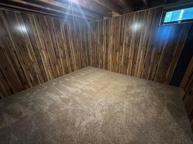 53533 Arbor Ridge Rd NE, Waskish, MN 56685 - photo 25